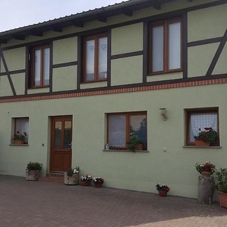 Ferienhaus Am Stadtpark Ballenstedt Exteriér fotografie